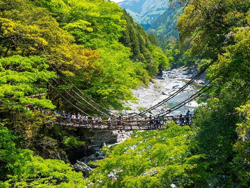 祖谷のかずら橋